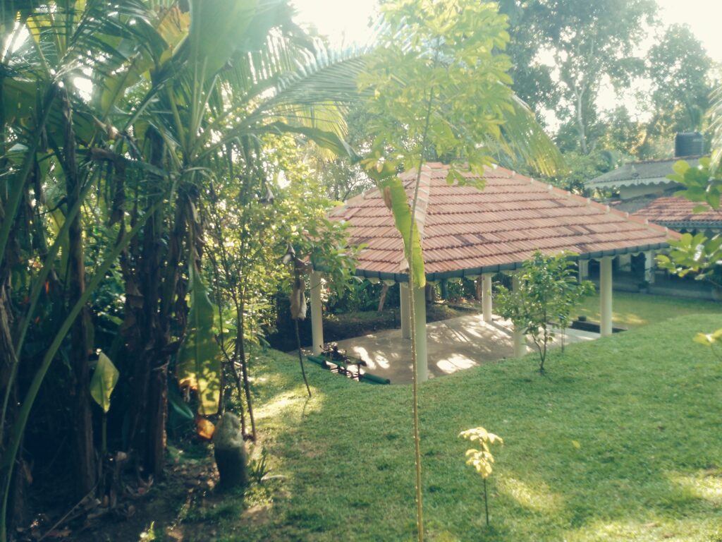 Morning Sadhana with Sala